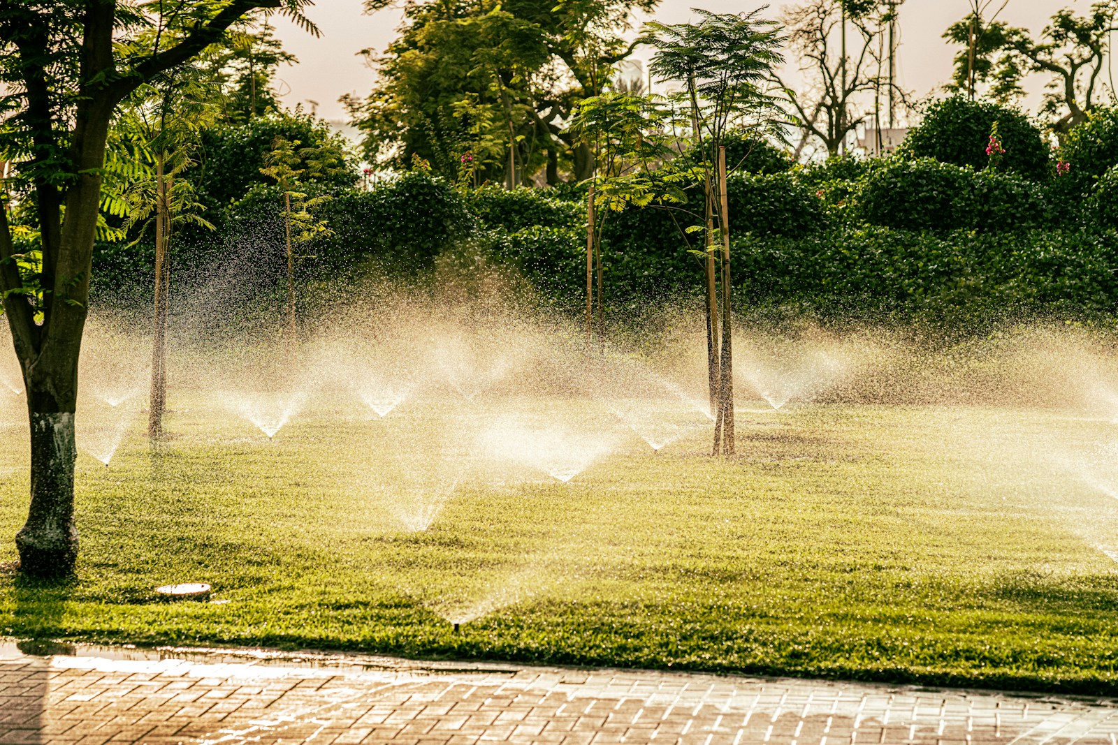 Profi öntözőrendszer kiépítése Szili Krisztiánnal