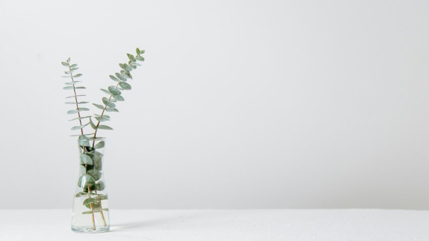 Magán pszichológus segítséggel a Corvin Pszichológia Terápiás Központban